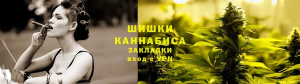 spice Алзамай