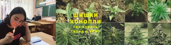 spice Алзамай