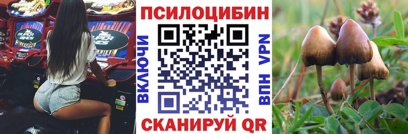 наркота  гидра вход  Псилоцибиновые грибы мухоморы  мориарти клад  Катав-Ивановск 